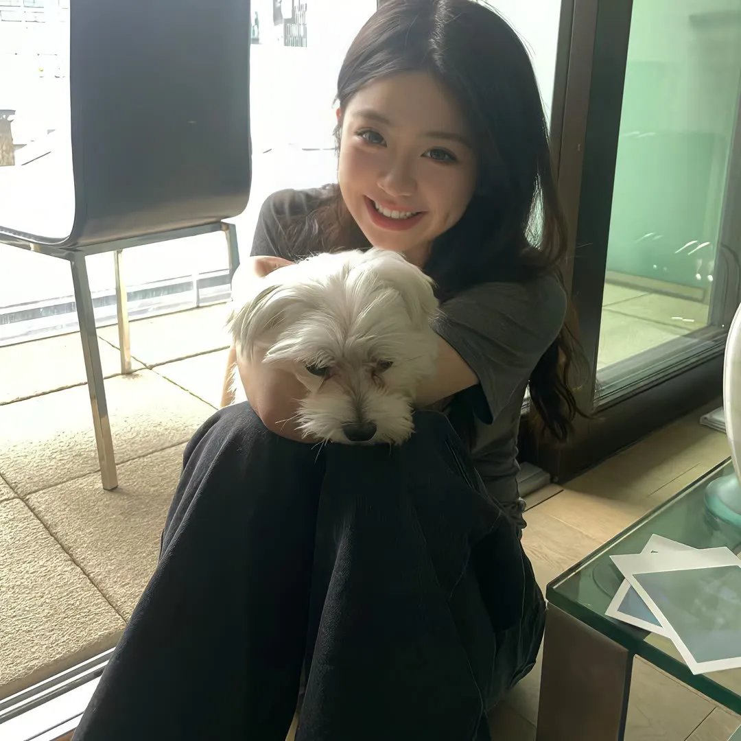 龙的新娘:龙之岛